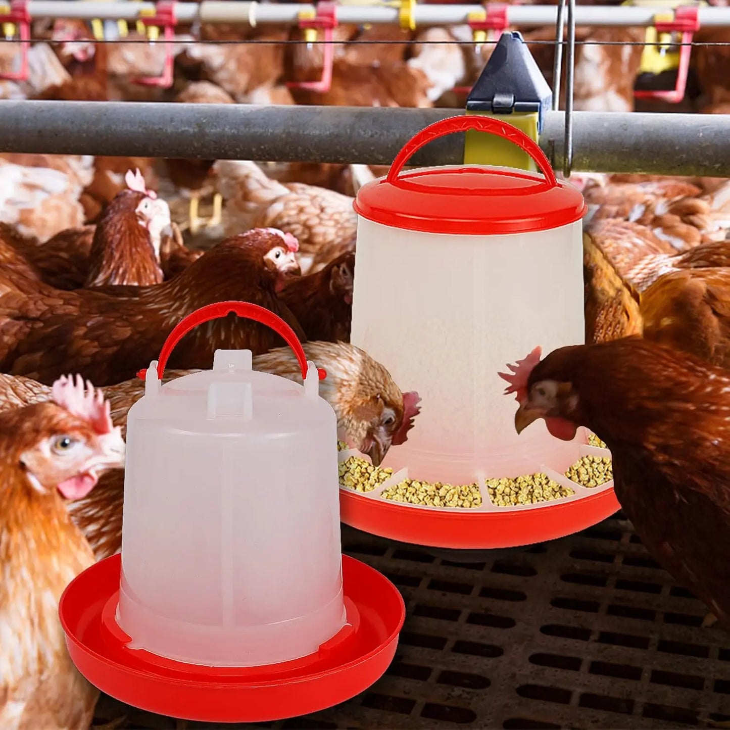3kg+3L Poultry Feeder And Waterer