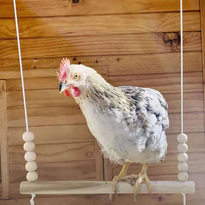 Hanging Chicken Bird  Swing