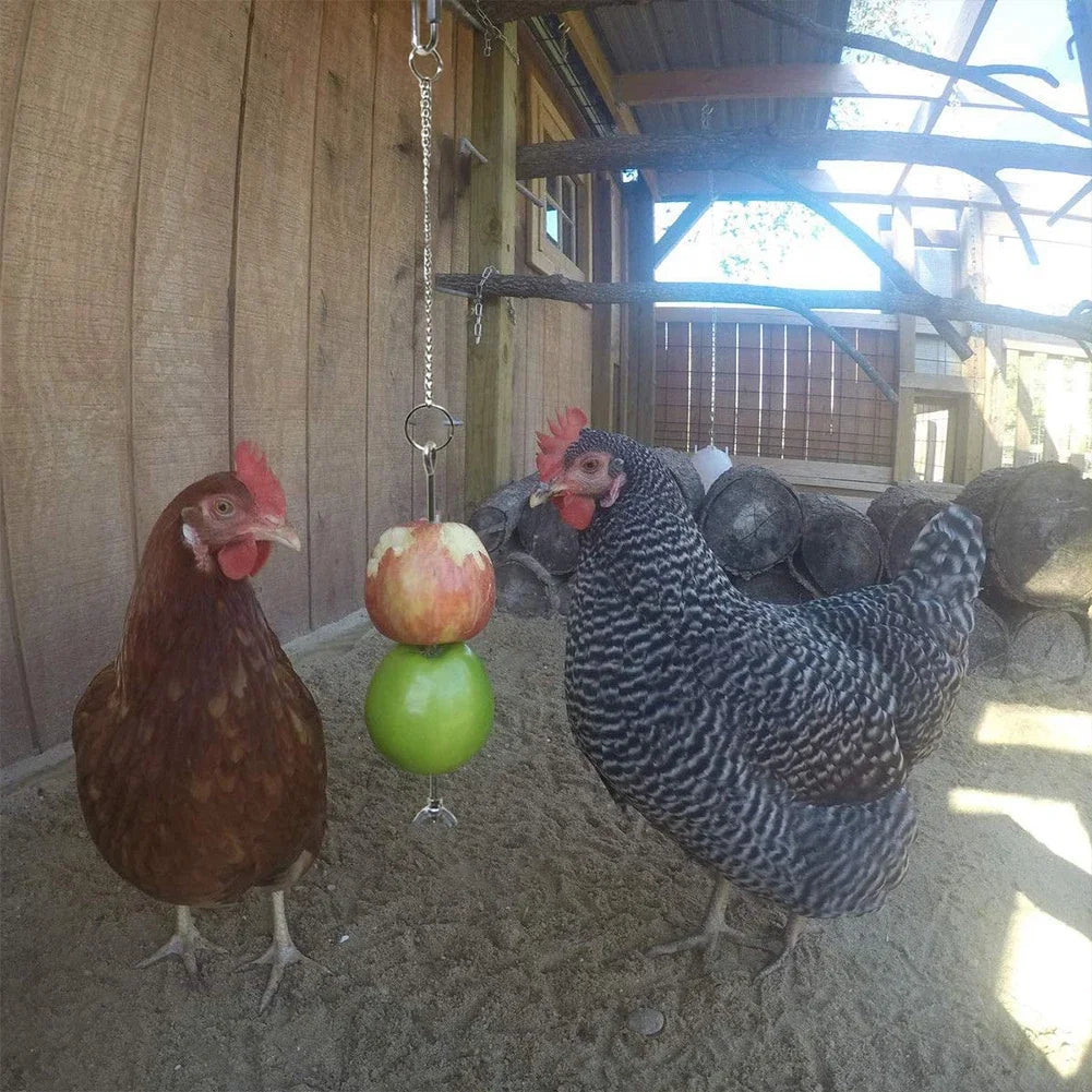 Pet Stainless Steel Feeder  Chicken Vegetables Holder