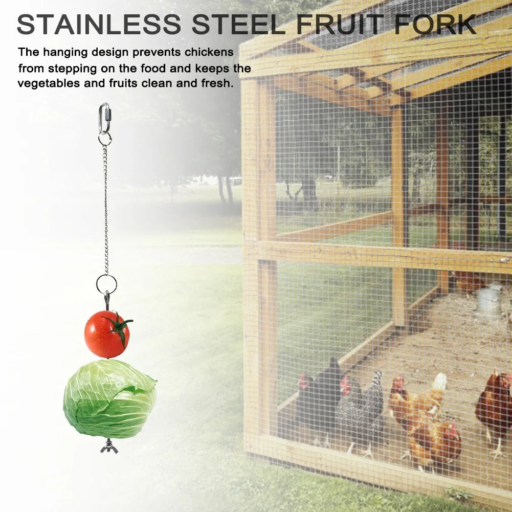 Pet Stainless Steel Feeder  Chicken Vegetables Holder