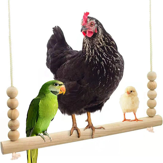 Hanging Chicken Bird  Swing