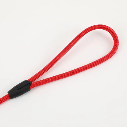 Dog Collar Dog Leash Slip Rope Lead Leash Heavy Duty Braided Rope Adjustable Loop Collar Training Leashes for Medium Large Dogs