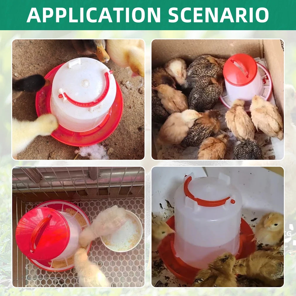 3kg+3L Poultry Feeder And Waterer