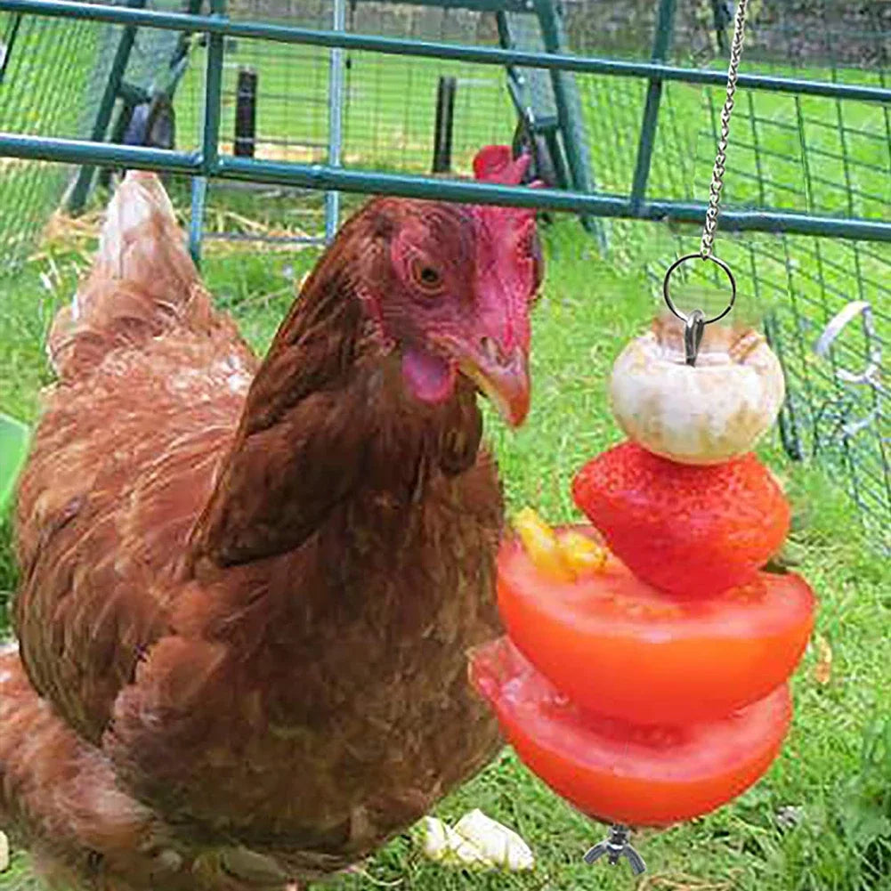 Pet Stainless Steel Feeder  Chicken Vegetables Holder